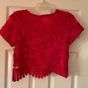 Lovers + Friends crop top